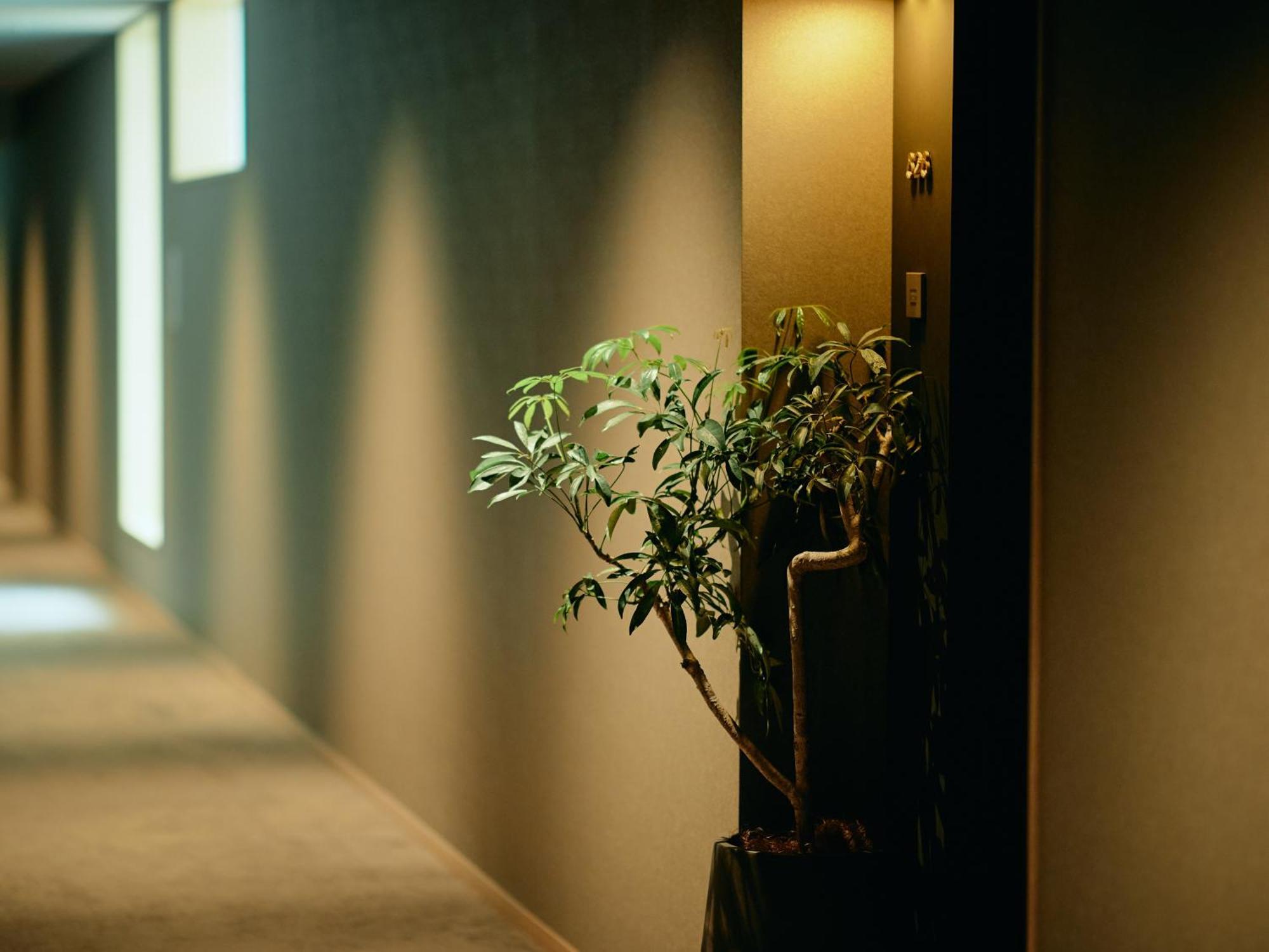 Good Nature Hotel Kyoto Cameră foto A corridor in a hotel